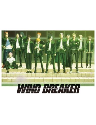 WIND BREAKER - TV Anime - Postcard Book Season 1
