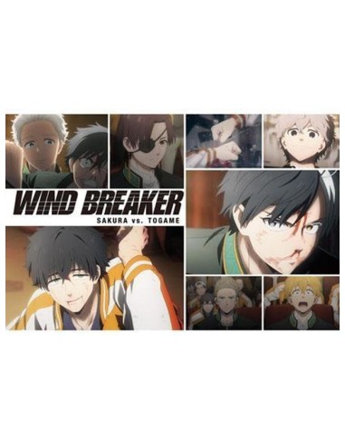 WIND BREAKER - TV Anime - Postcard Book Season 1