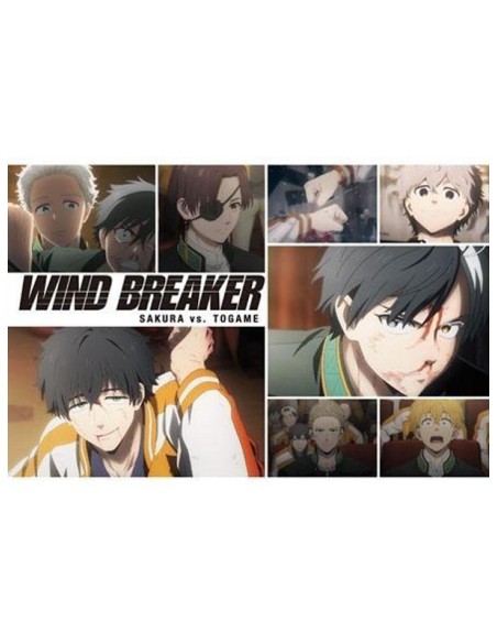 WIND BREAKER - TV Anime - Postcard Book Season 1