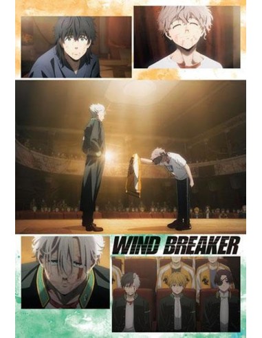 WIND BREAKER - TV Anime - Postcard Book Season 1