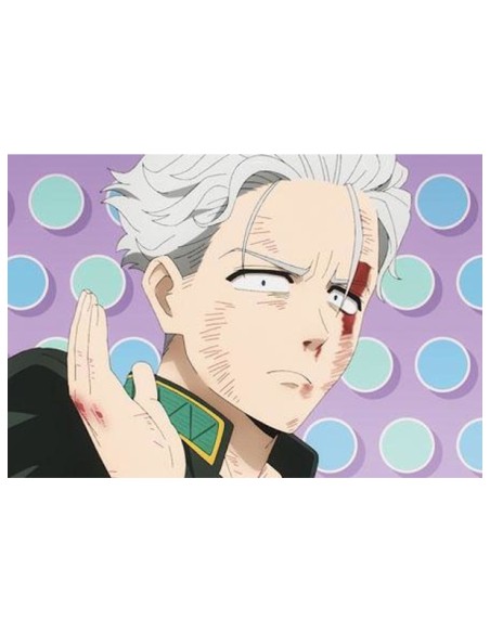 WIND BREAKER - TV Anime - Postcard Book Season 1