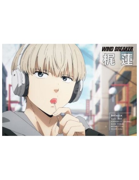WIND BREAKER - TV Anime - Postcard Book Season 1