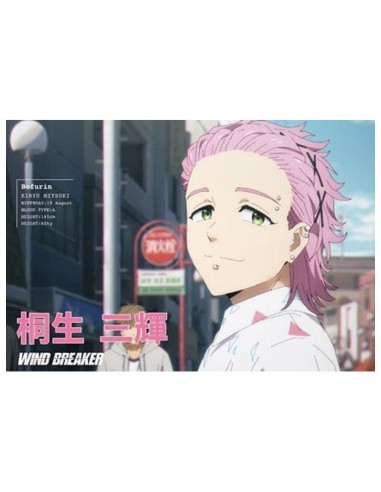 WIND BREAKER - TV Anime - Postcard Book Season 1
