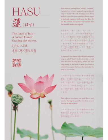 Hiragana Times Nº465 - Julho 2025 - Revista...