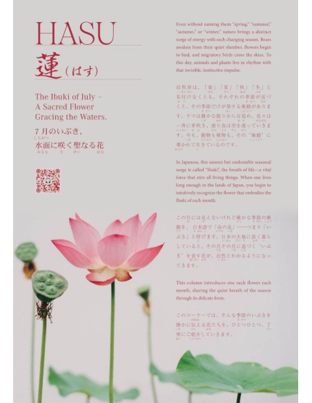 Hiragana Times Nº465 - Julho 2025 - Revista bilingue japonês/inglês