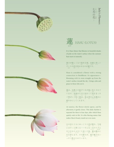 Hiragana Times Nº465 - Julho 2025 - Revista...