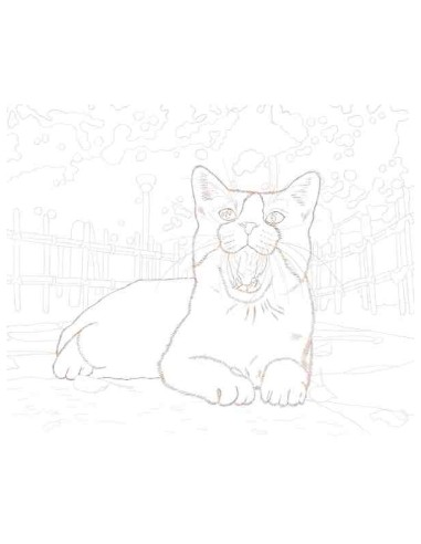 Masayuki Oki's the Free-roaming Cats - Livro de colorir