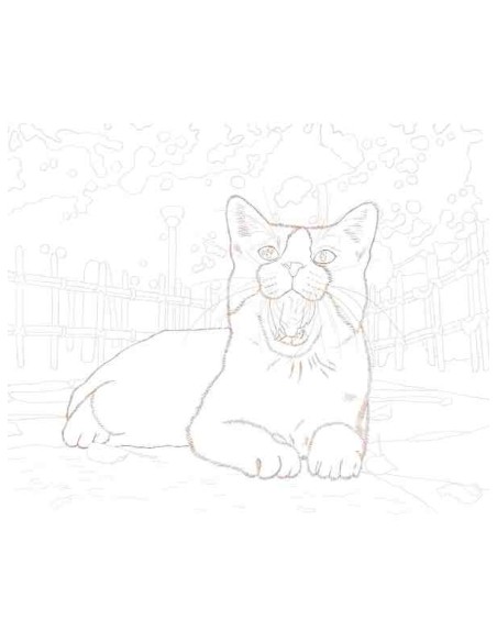 Masayuki Oki's the Free-roaming Cats - Livro de colorir
