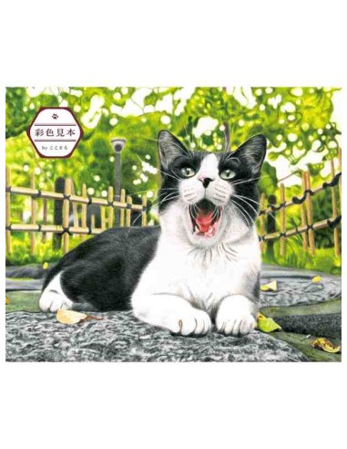 Masayuki Oki's the Free-roaming Cats - Livro de colorir