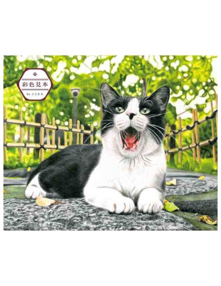 Masayuki Oki's the Free-roaming Cats - Livro de colorir