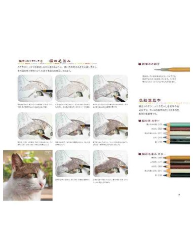 Masayuki Oki's the Free-roaming Cats - Livro de colorir
