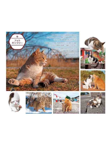 Masayuki Oki's the Free-roaming Cats - Livro de colorir