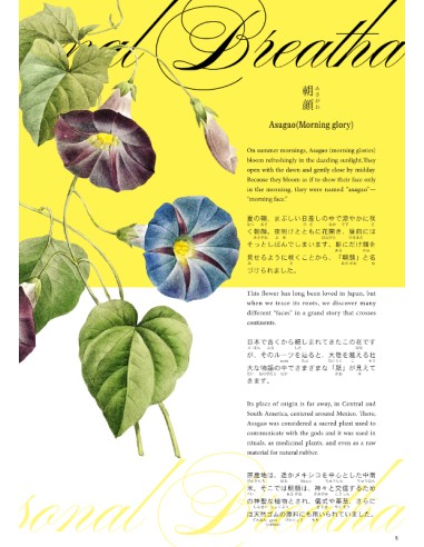 Hiragana Times Nº465 - Julho 2025 - Revista...