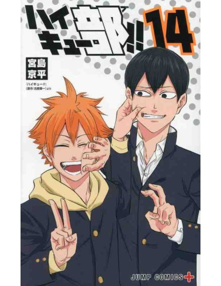 Haikyubu!! Vol.14