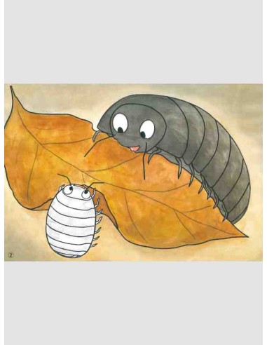 Kamishabai - Dango mushi no koro chan - 38,2 x 26.5 cm.