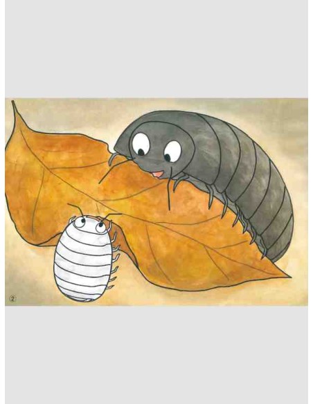 Kamishabai - Dango mushi no koro chan - 38,2 x 26.5 cm.