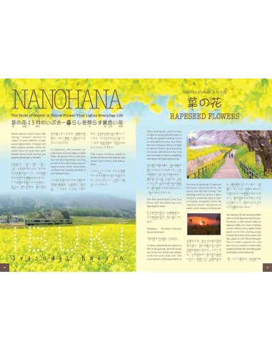 Hiragana Times Nº473 - Março 2026 - Revista bilingue japonês/inglês