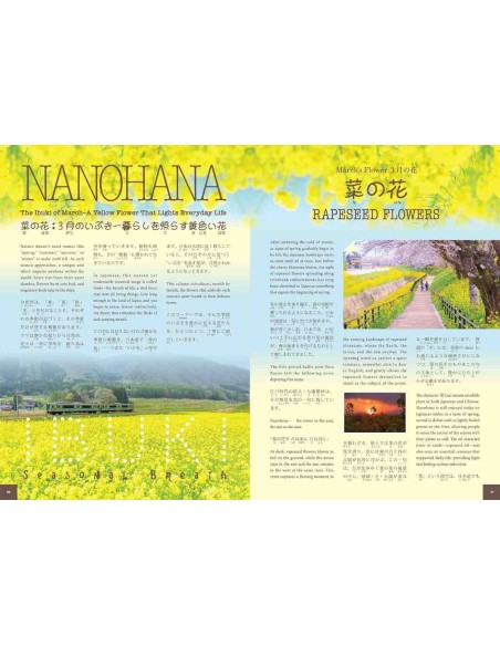 Hiragana Times Nº473 - Março 2026 - Revista bilingue japonês/inglês