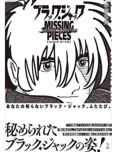 Black Jack: Missing Pieces - Second Operation