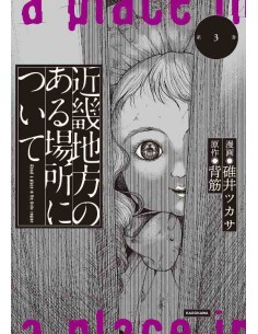 Kinki Chiho no Aru Basho ni Tsuite Vol.3