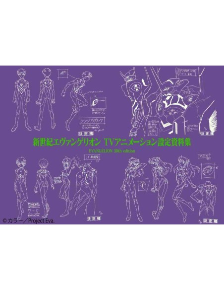 Neon Genesis Evangelion TV Animation Setting Materials Collection EVANGELION 30th edition
