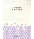 Bunka Chukyu Nihongo 2 (Cuaderno de ejercicios)