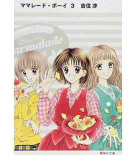 Marmalade Boy  (Vol.3)