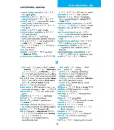 Concise Japanese Dictionary (Japanese-English/ English-Japanese)