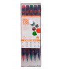 Akashiya Watercolor Brush Pen Sai 5 Colors Set (Winter)